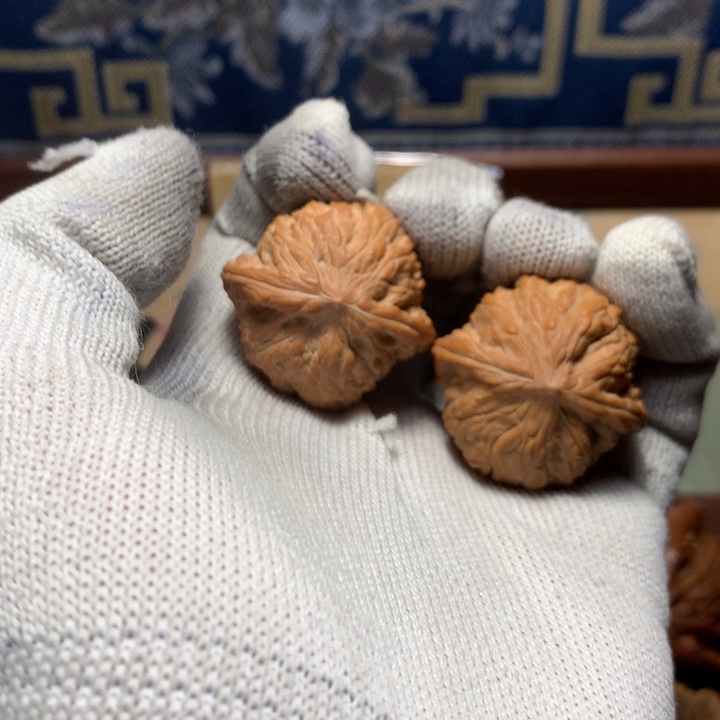 用***3哈哈哈哈哈哈哈哈