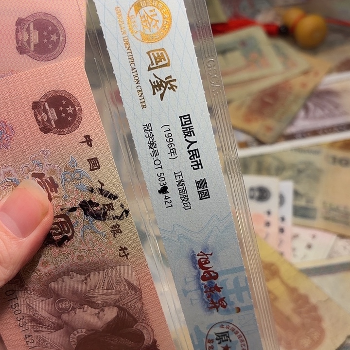 独***子国鉴19。          