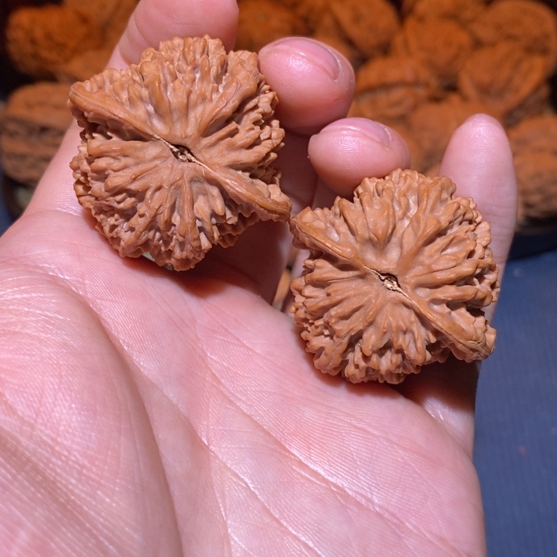 39尺 全品白茬 底价不刀 满天星