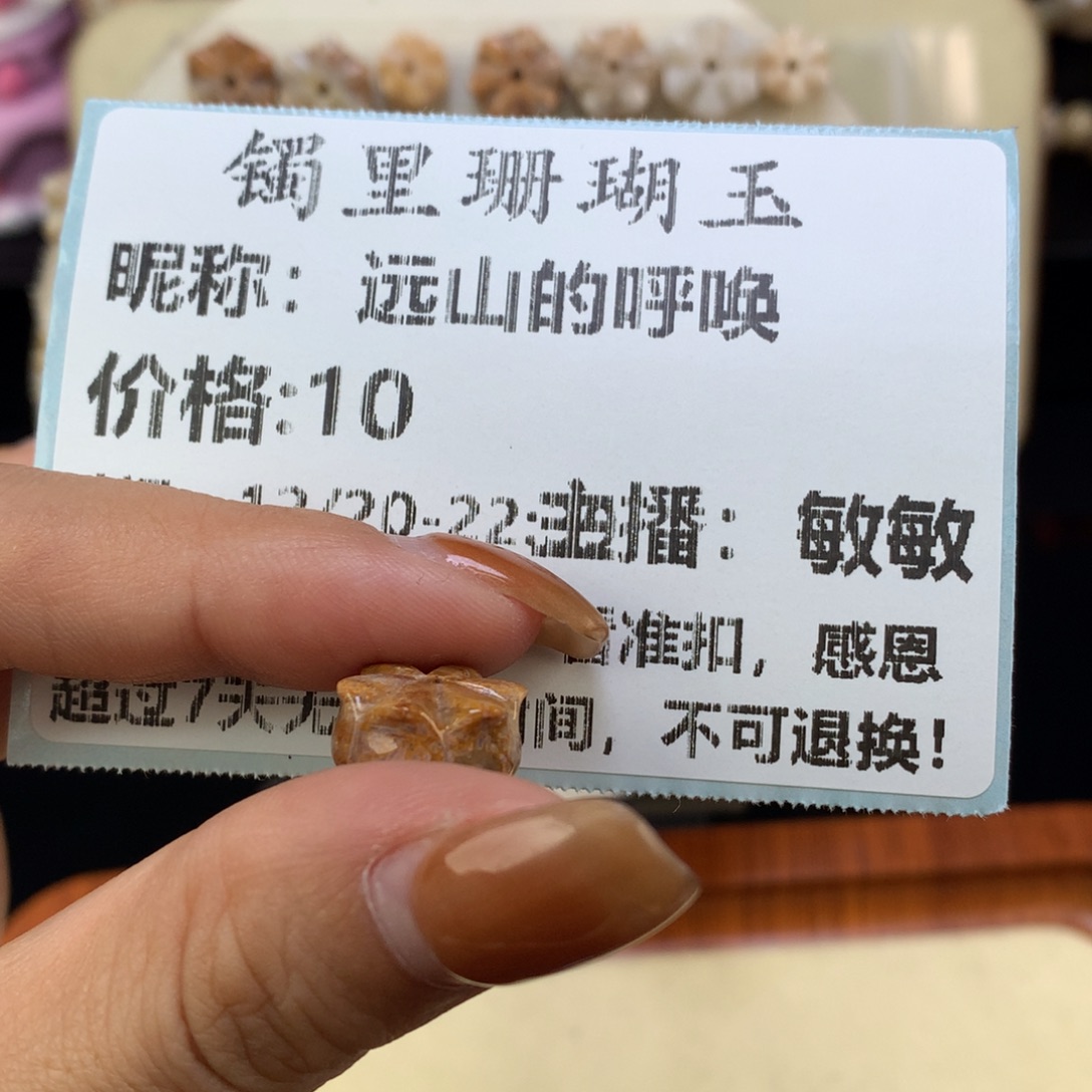 远***唤硅化珊瑚（珊瑚玉）未镶嵌颈饰