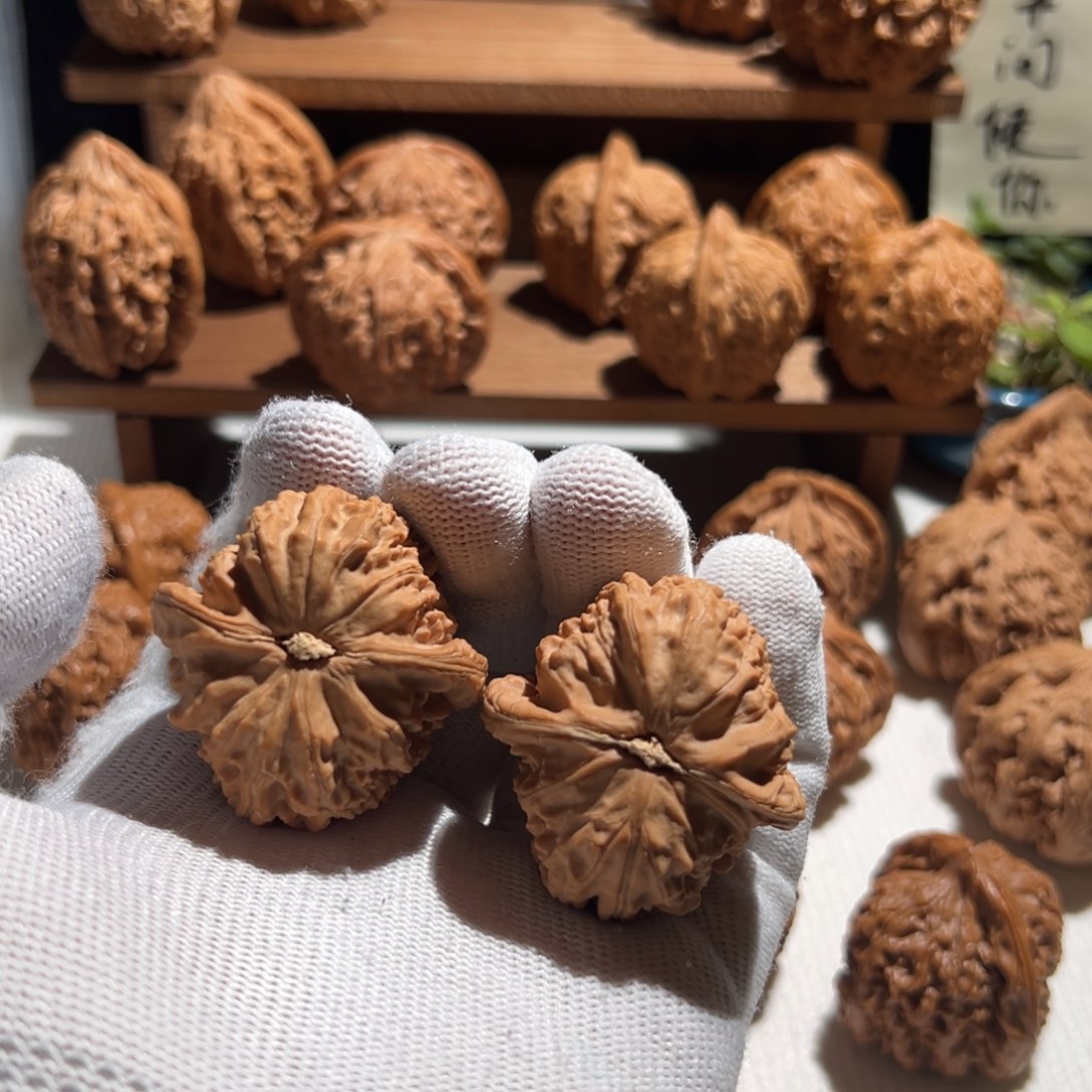 一***新核桃全品无修 40 白狮子