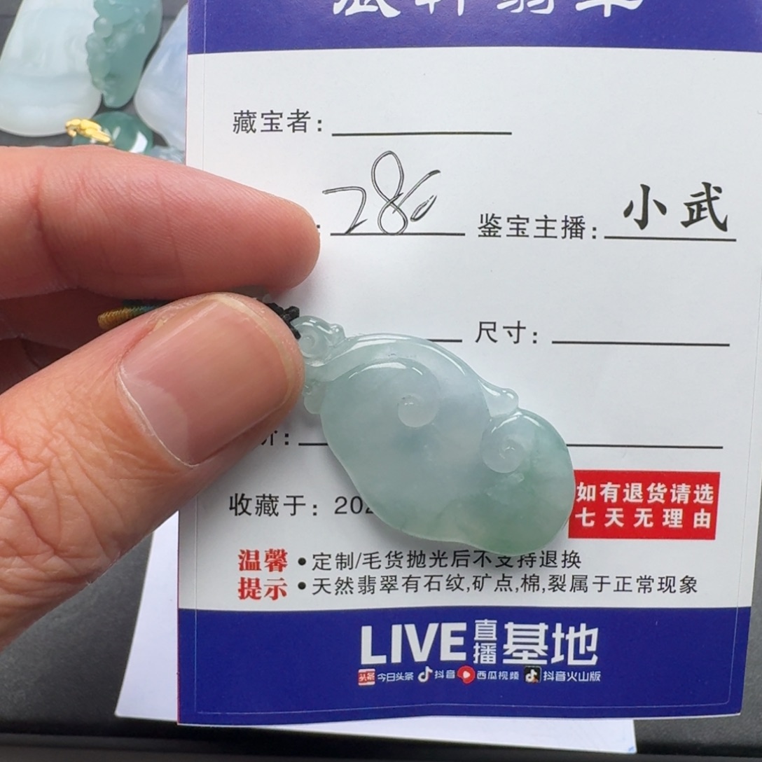 翡翠未镶嵌颈饰    15