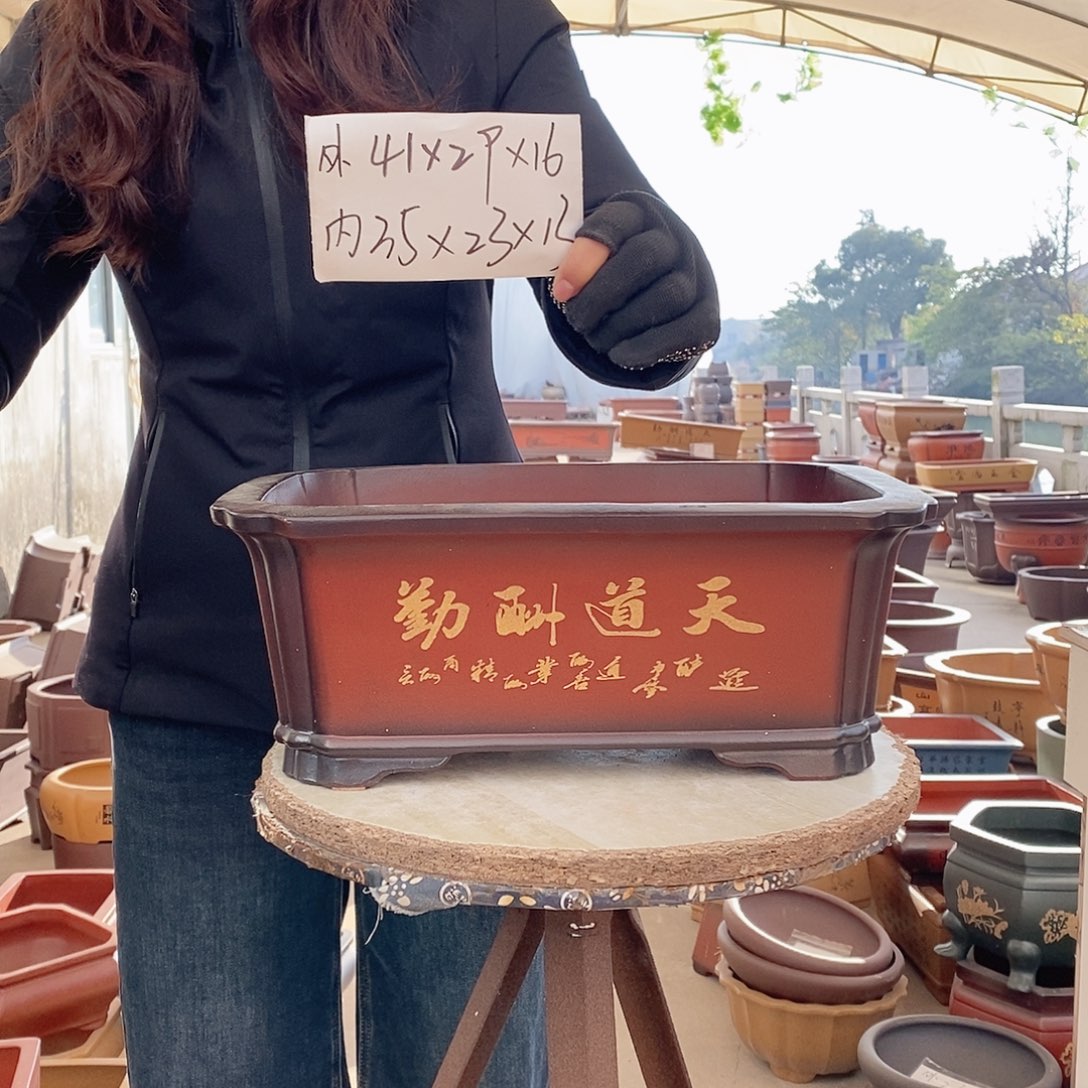 紫砂花盆紫砂花盆