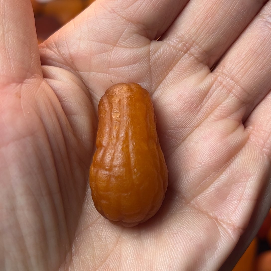 琥珀裸石未镶嵌天然蜜蜡吊坠