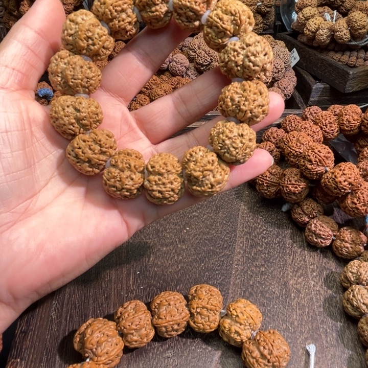 苍***龙手串金刚菩提梅花