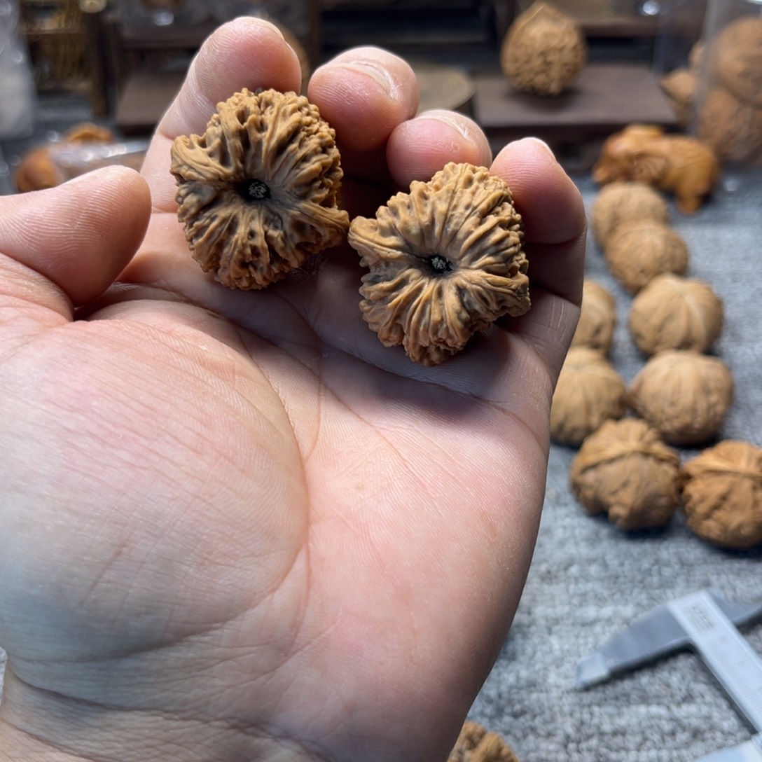 文玩核桃把件逐鹿南疆