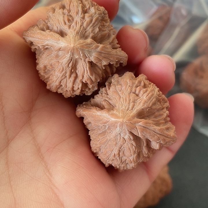           满天星38