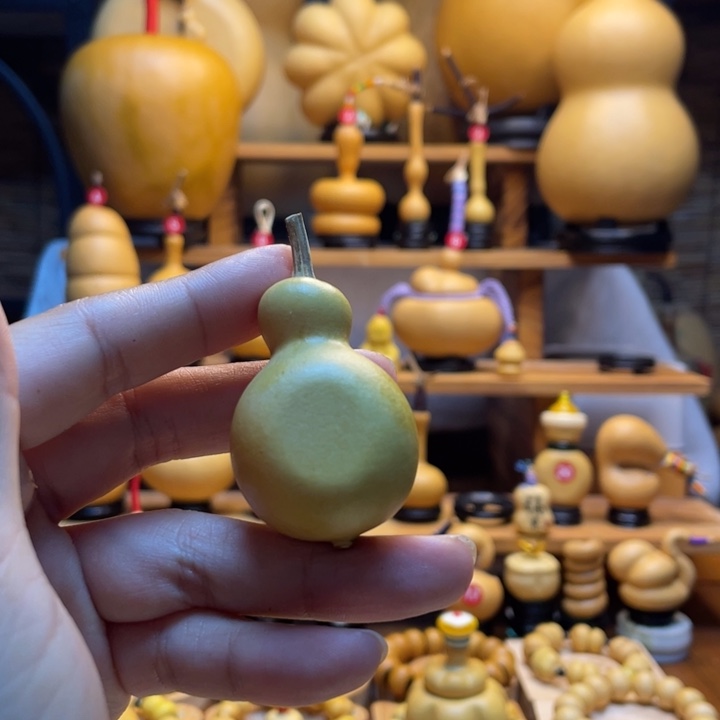 芝***G天然葫芦自然生长