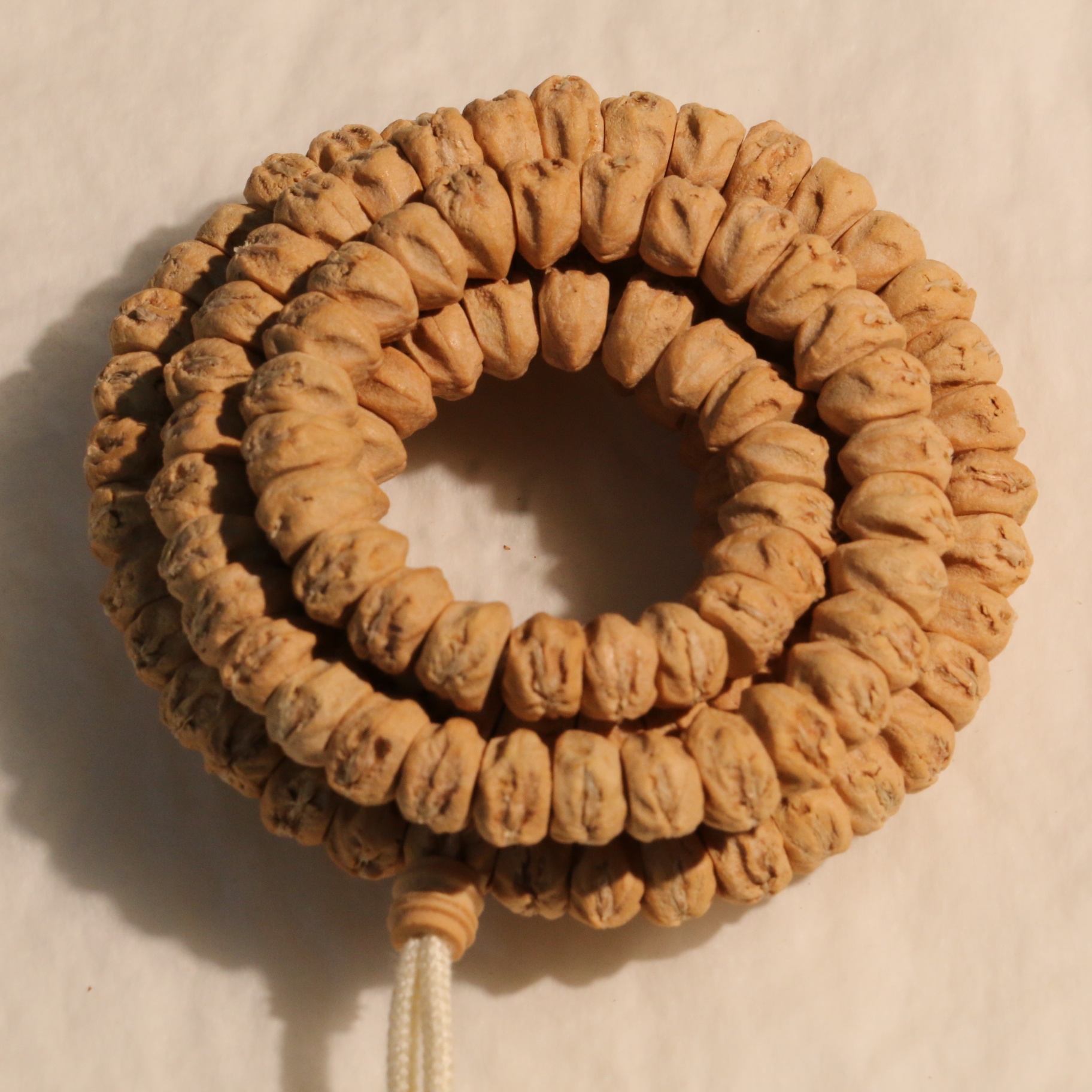 热振百香籽【天策出品】-- 支巴扎