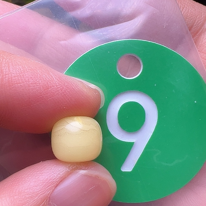 蜜蜡裸石未镶嵌金沙9.3m m