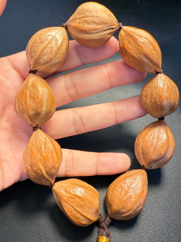 天然的无科技狠活的四花老油核