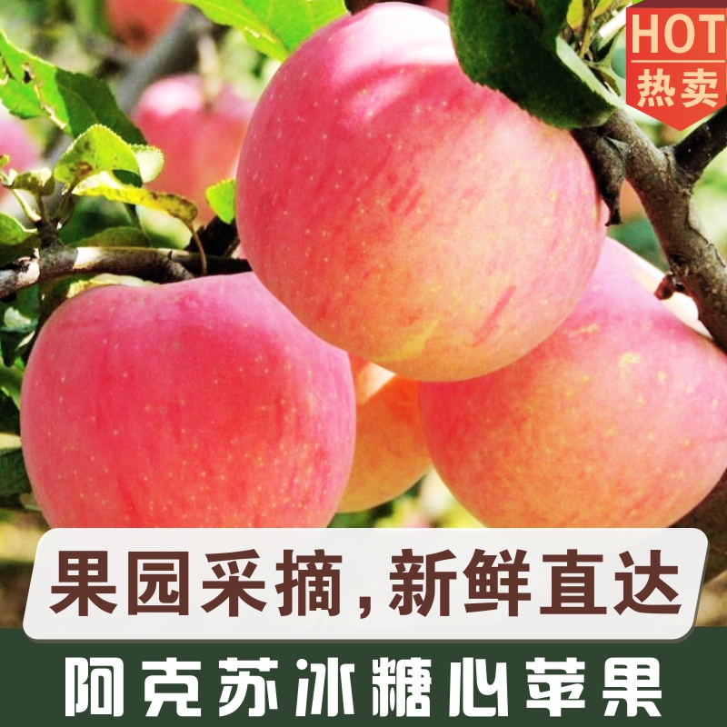 阿克苏冰糖心苹果 【脆甜多汁】 当季新鲜果 新疆直发