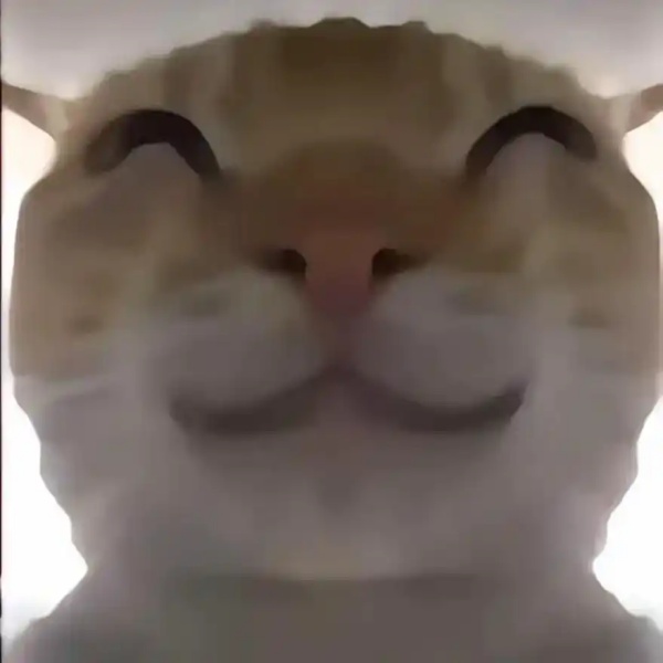 三角粥跑跑游戏周边公仔