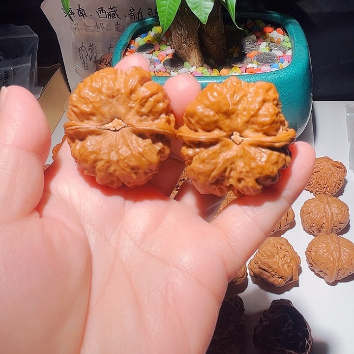 清***哥龙脊菩提吊坠蛤蟆头一对