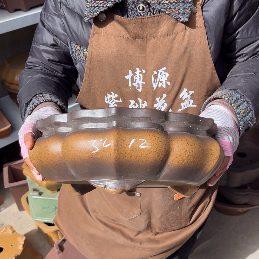 紫砂花盆盆景艺术