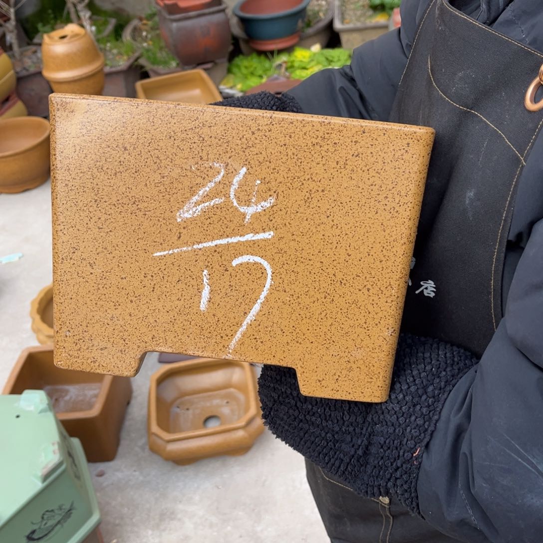 紫砂花盆盆景艺术