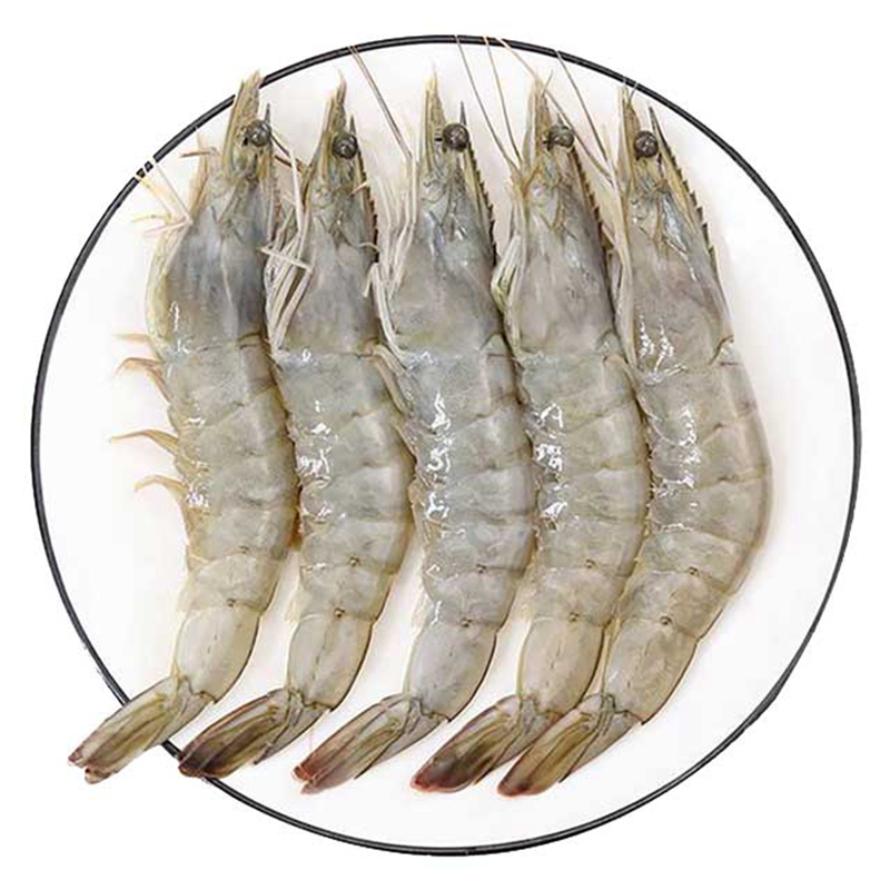 海虾青虾3040规格净重3斤40到50只