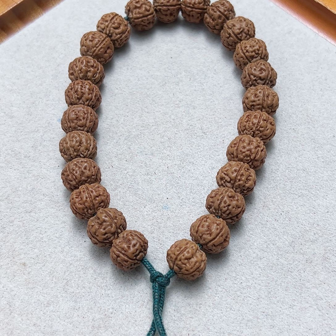 好***气勿里达纯血老树王精品