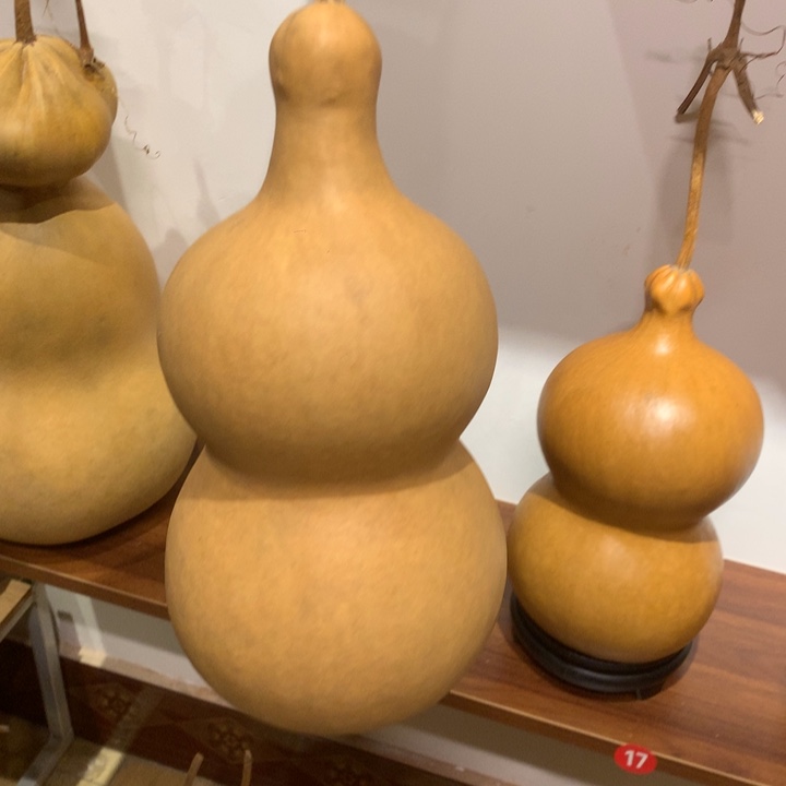 菩***丝中号尺寸的尺寸大小尺寸