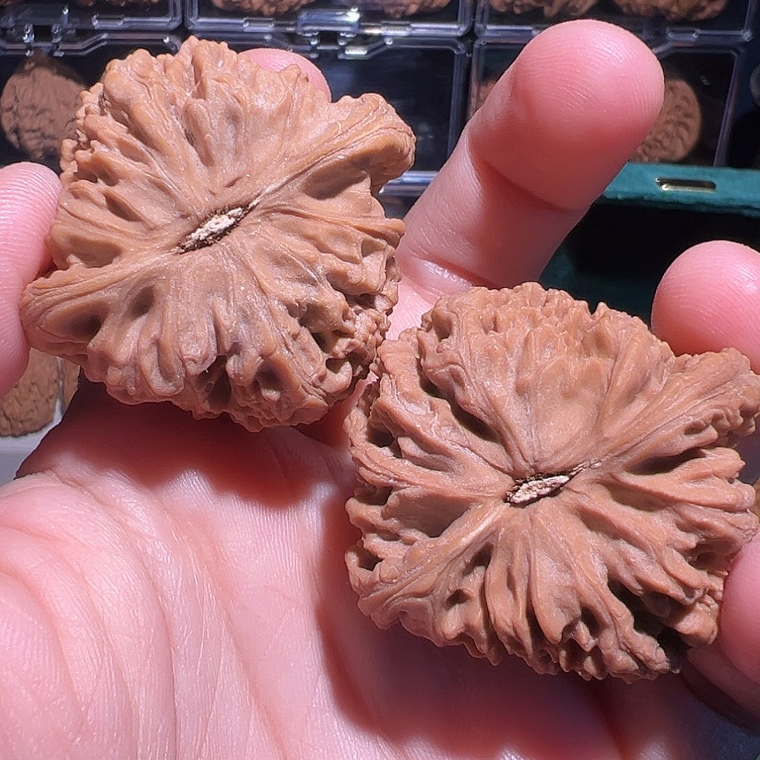 咕***咕把件文玩核桃南疆石有黄微瑕疵不退换