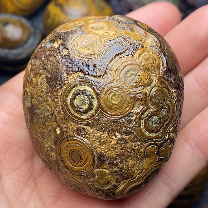 三***幸眼睛肿着不舒服就早点回家啊