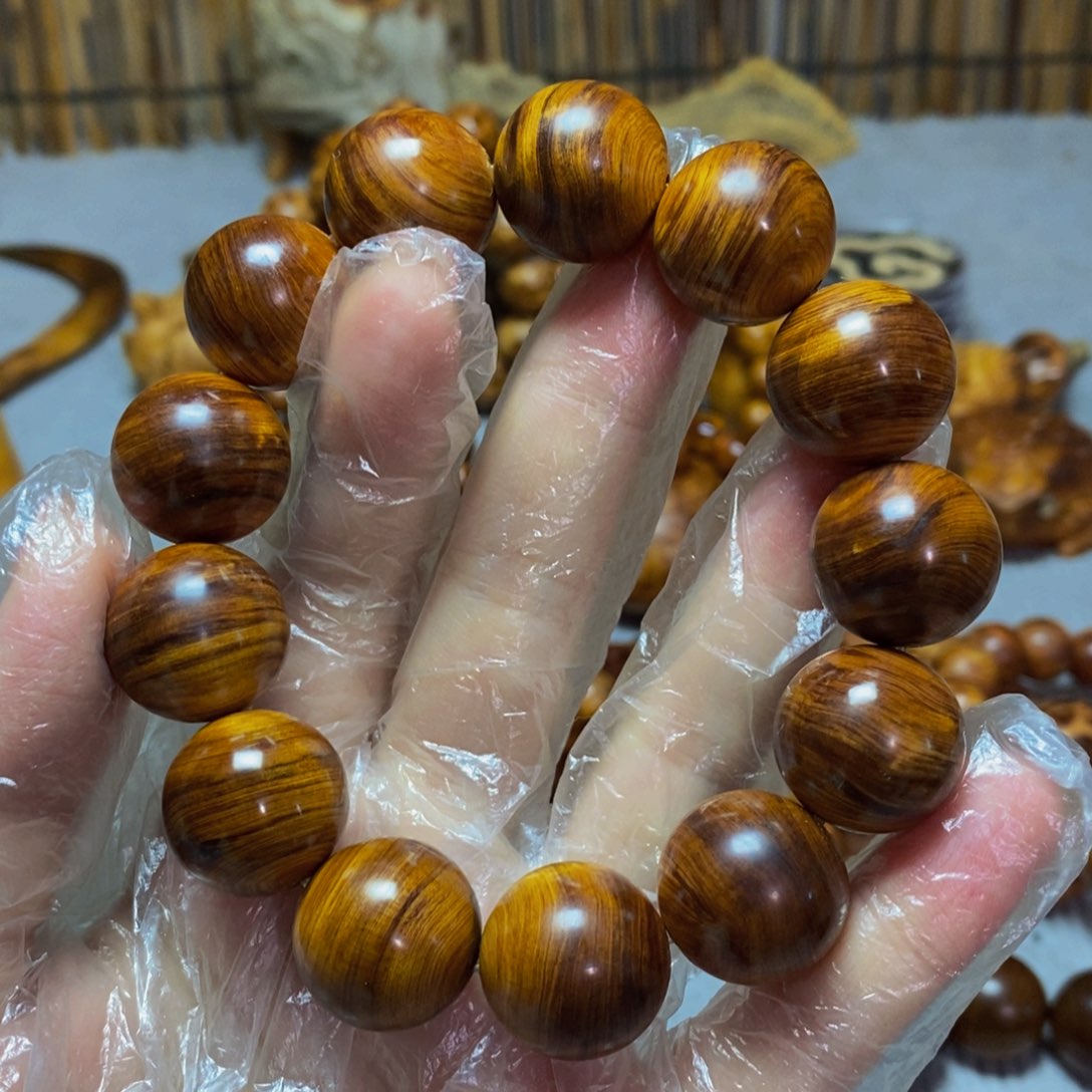 柏木（崖柏）豪*传太行崖柏