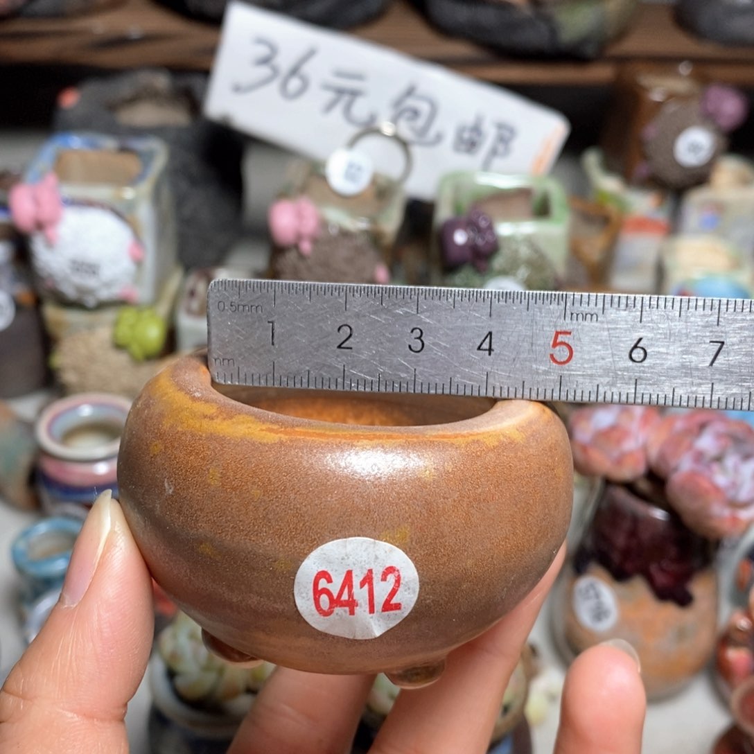 拍5送一个小礼物