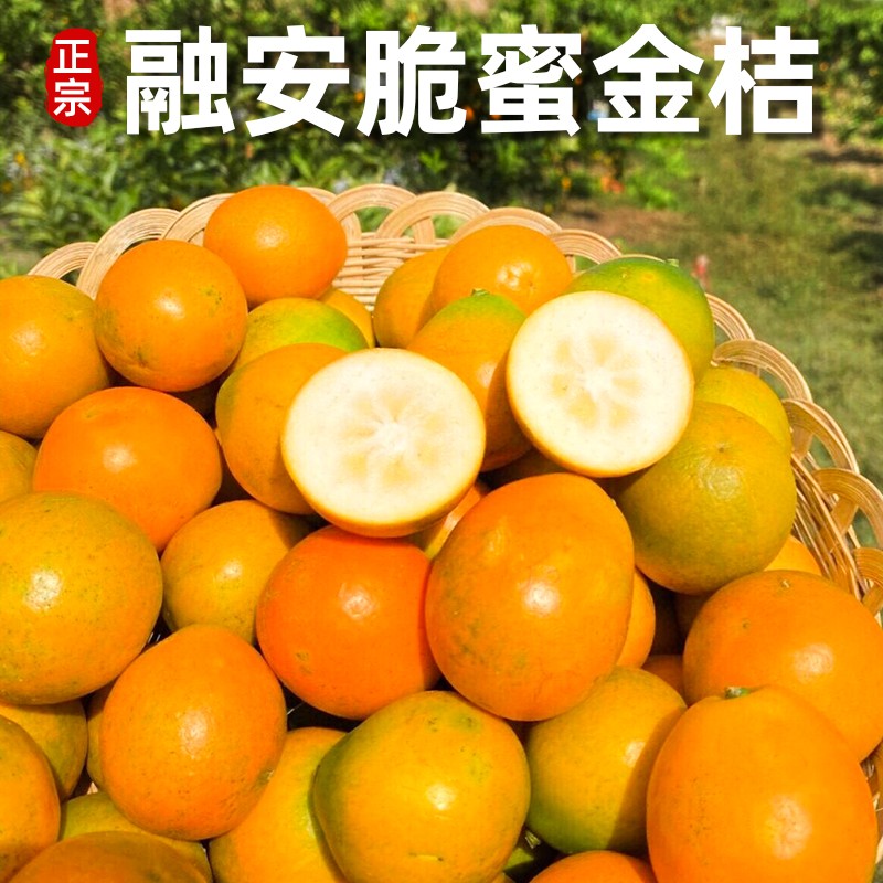 【产地直发】正宗广西融安老树花皮金桔第三代金柑脆蜜金桔纯甜无酸