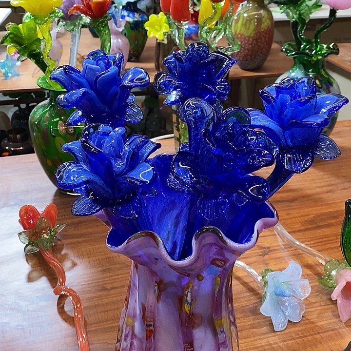 5只夜光花高45厘米宽12厘米