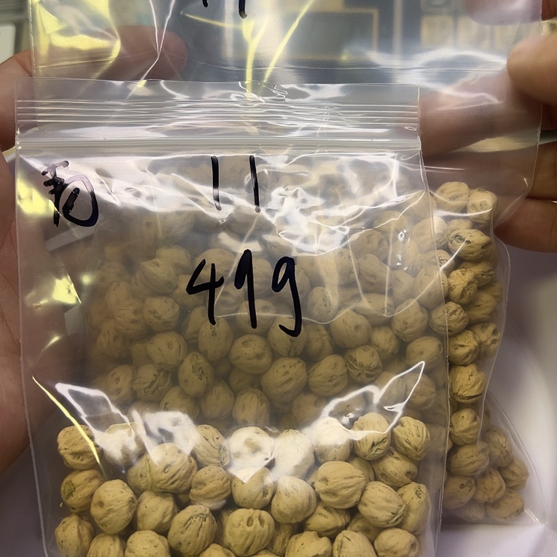 青***物吊坠柏香籽/百香籽