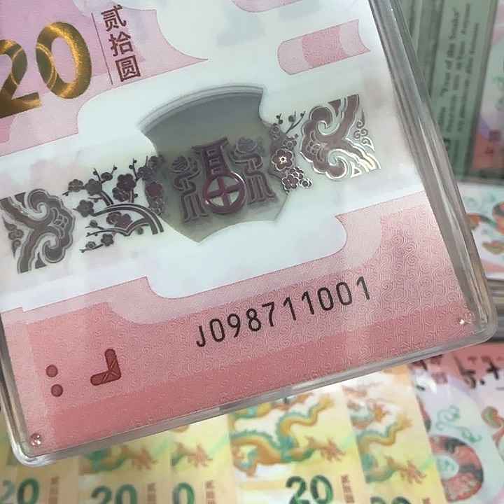 塑料蛇钞标百098711001–11100