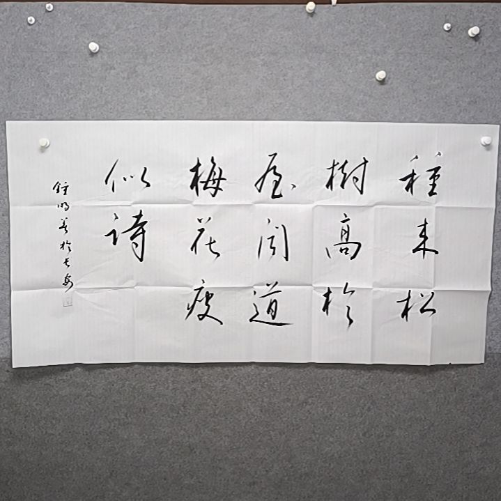 清***人书法四尺横幅种来松树高于书法