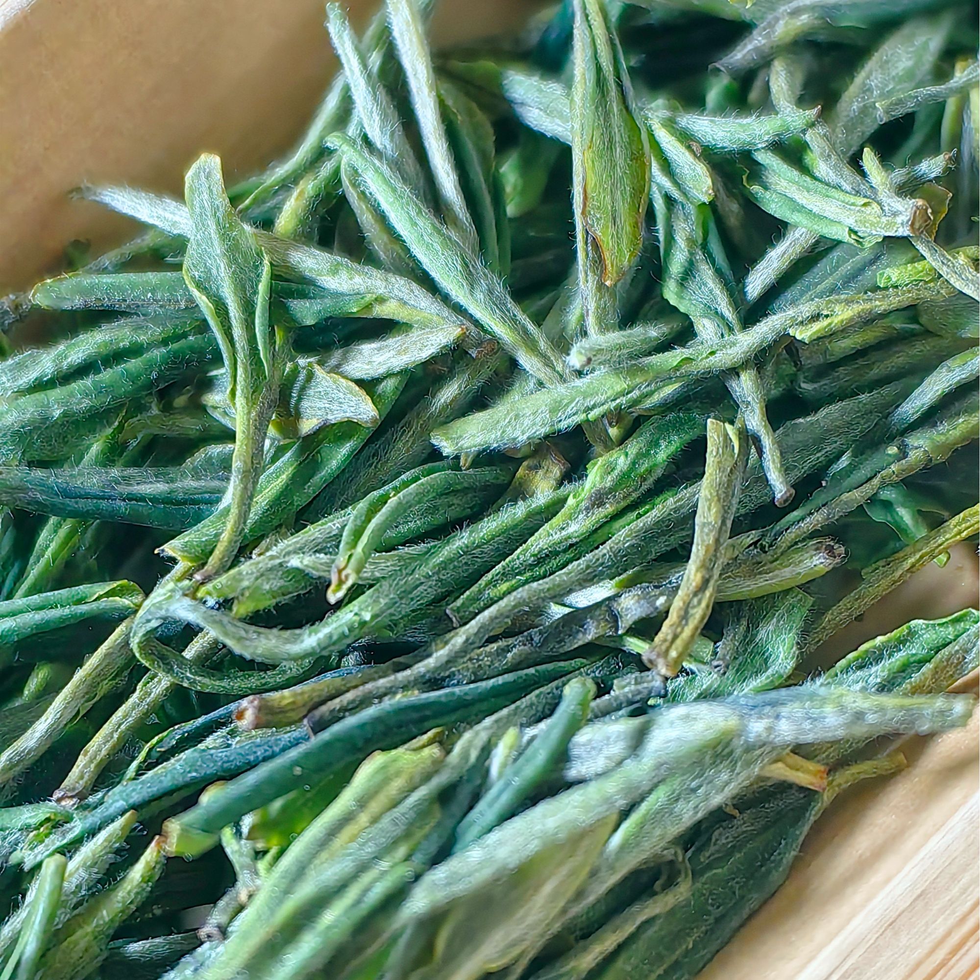 太湖明前绿茶天华谷尖兰花香板栗香型鲜爽回甘安徽名茶核心产区