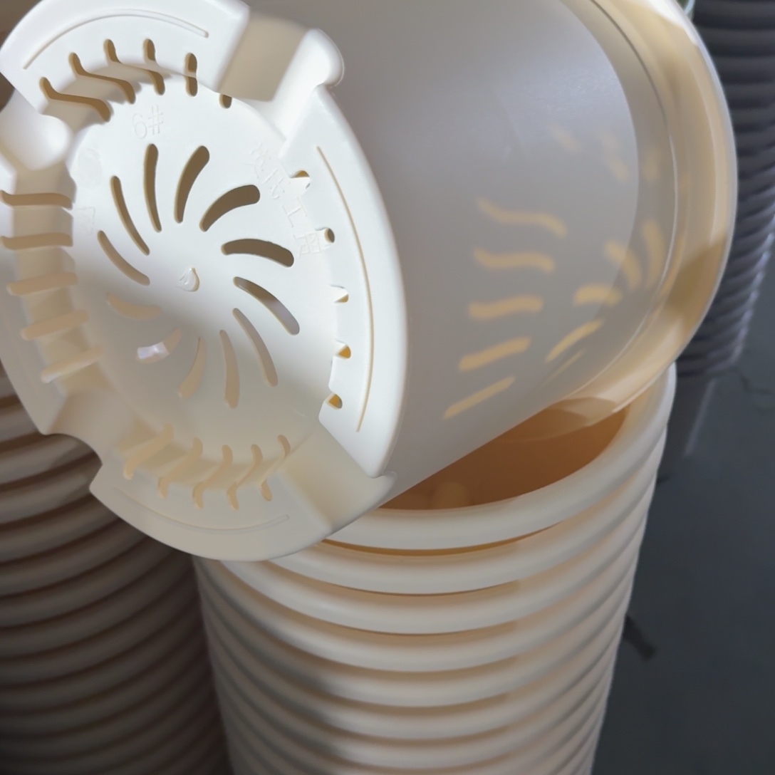 四季6号5个米黄色的