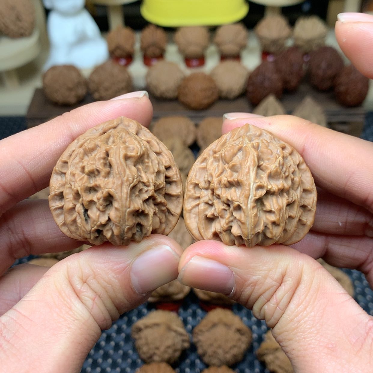 【闪购商品】文玩核桃把件全品三角白狮子头38➕文玩核桃