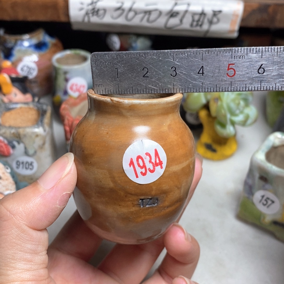 拍5送一个小礼物