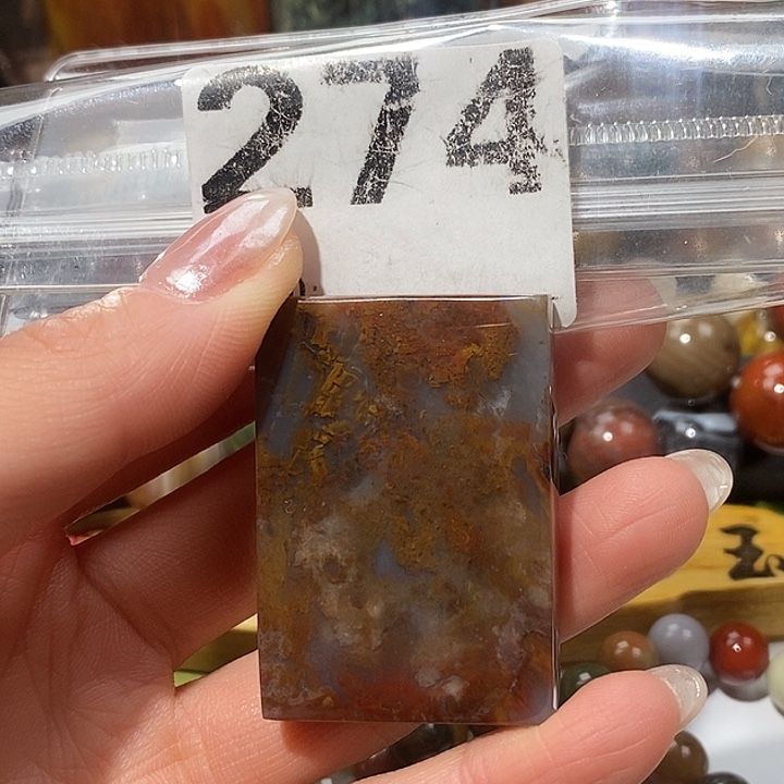 硅化玉未镶嵌天然北票树化玉吊坠
