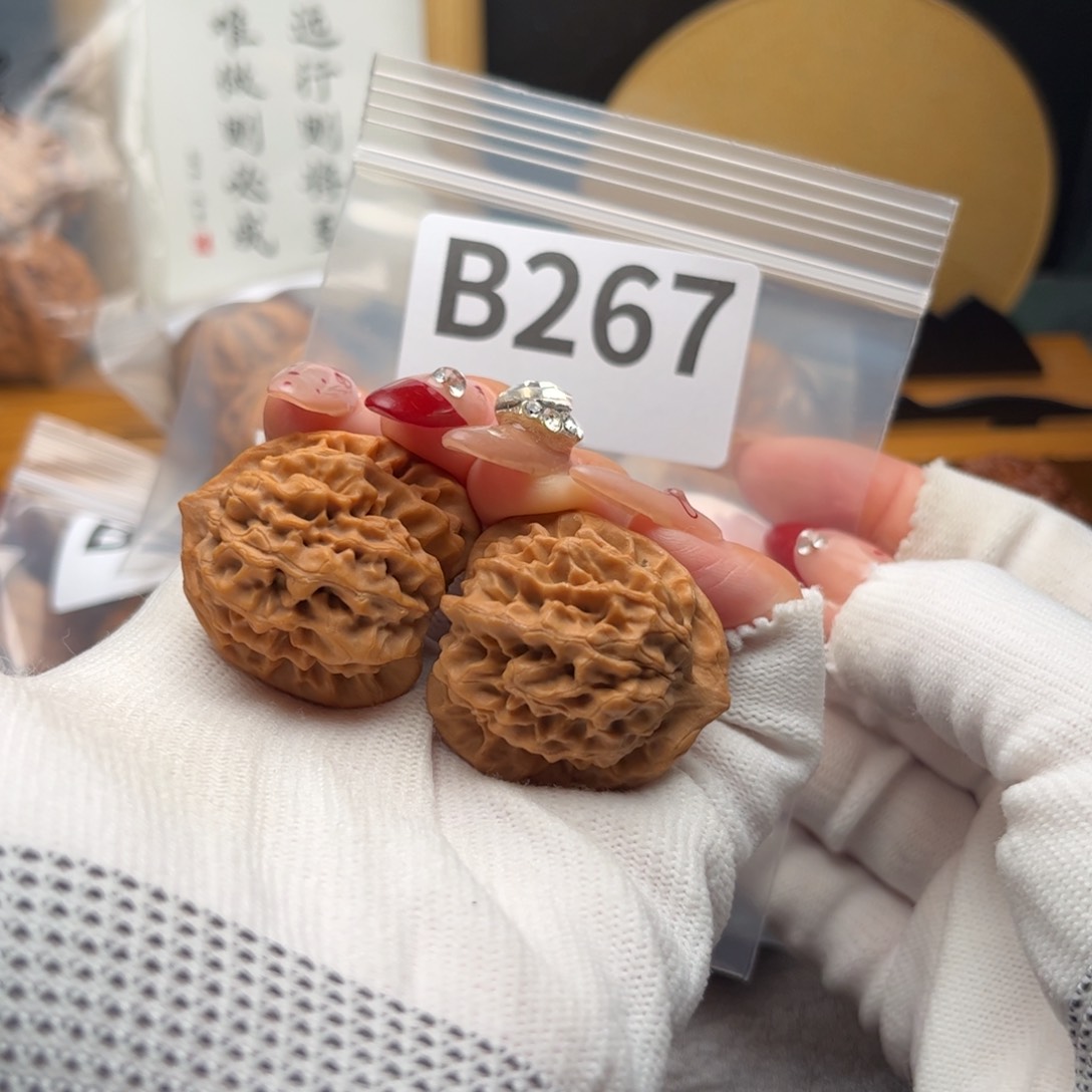 文玩核桃把件31秦闷b 267