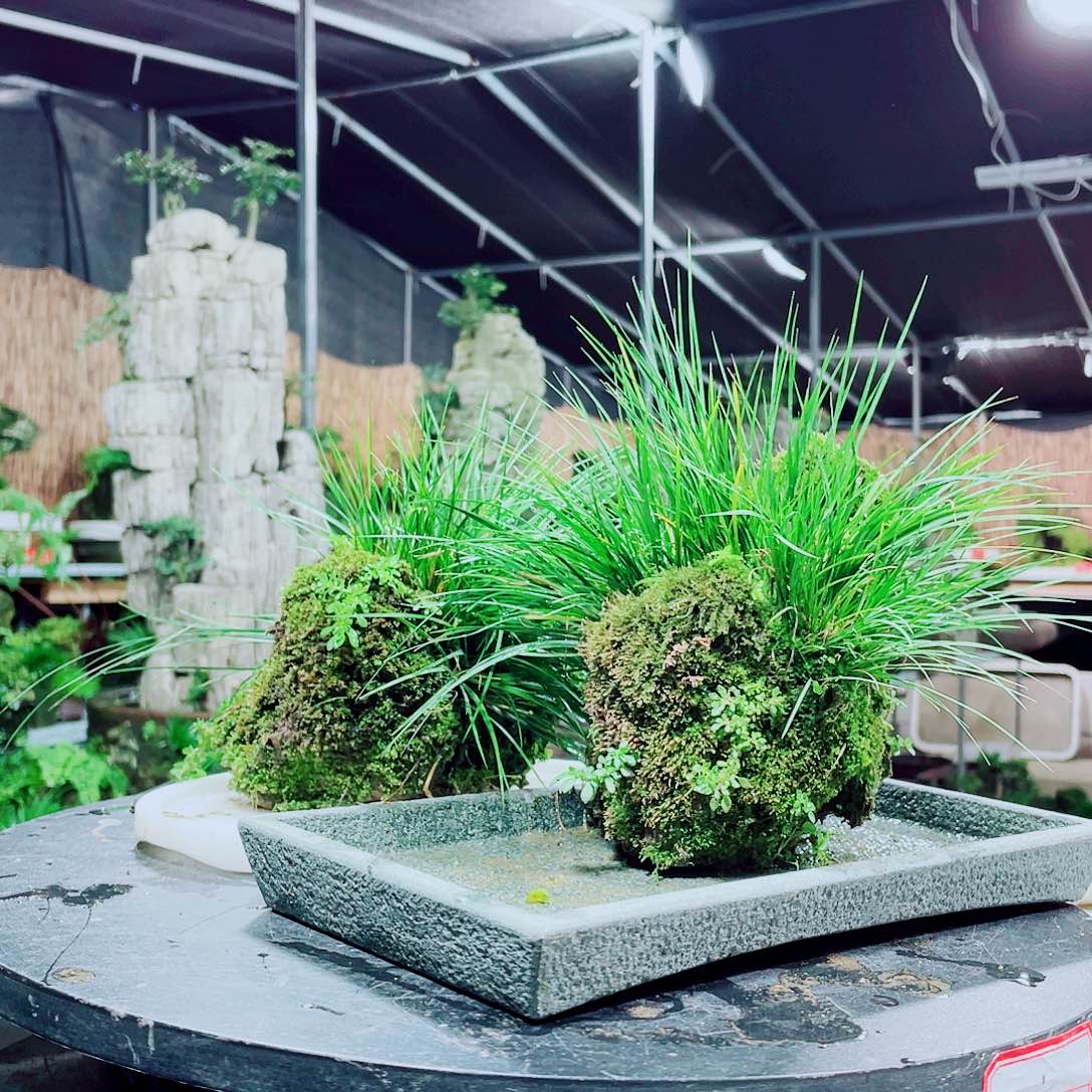 云***司无花朵我是个没有安全保障且