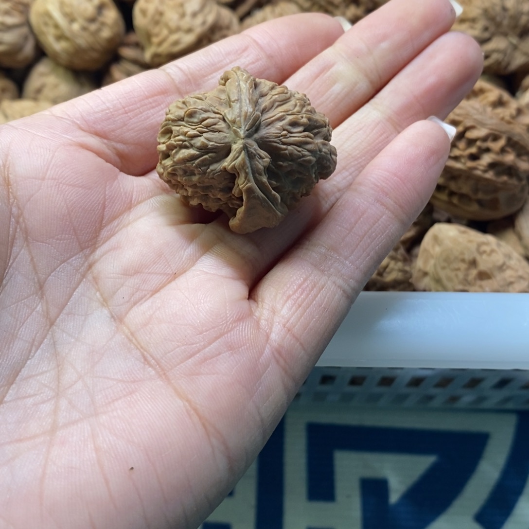 没***白吊坠文玩核桃白角