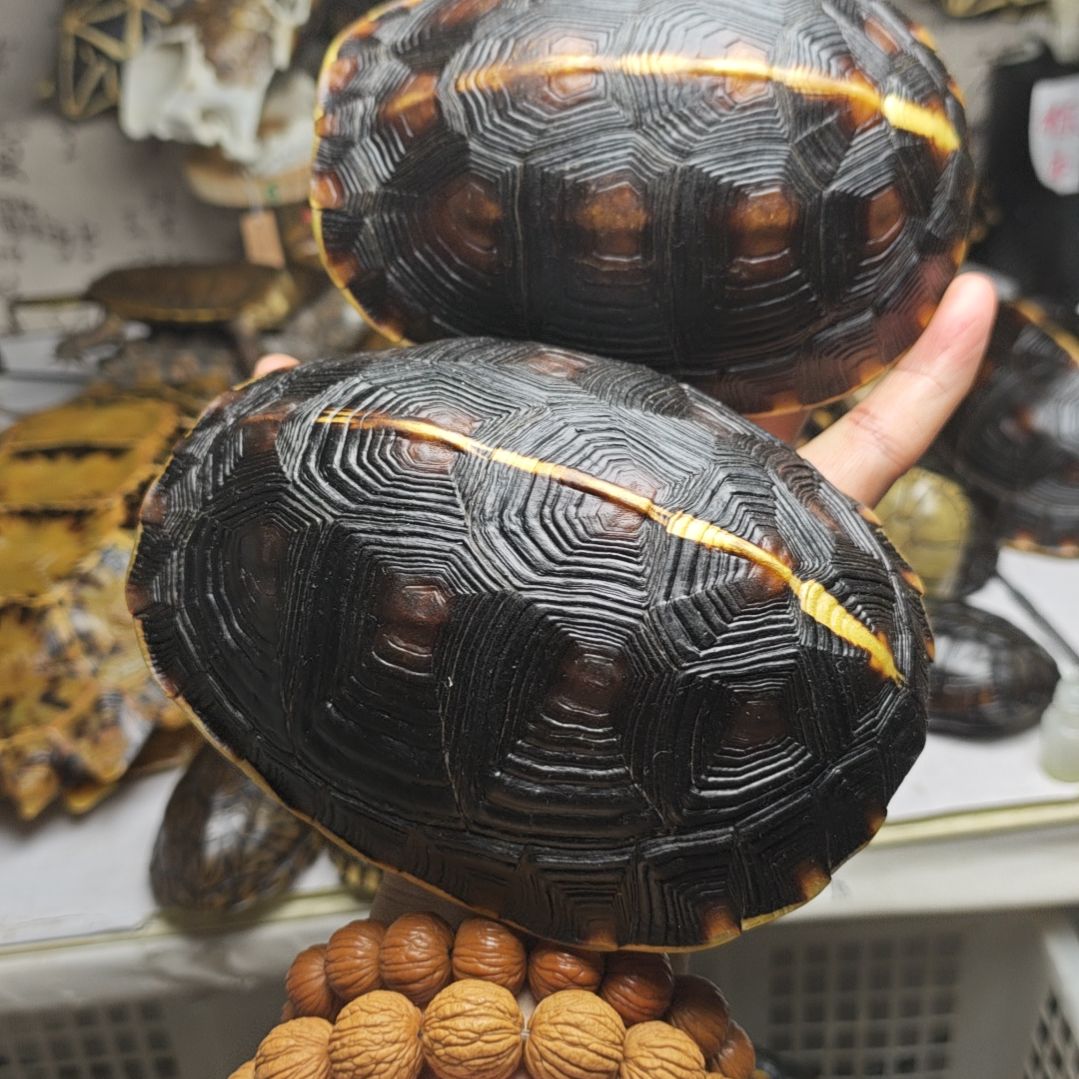 重***』黄缘，，，，，，，，，，，，