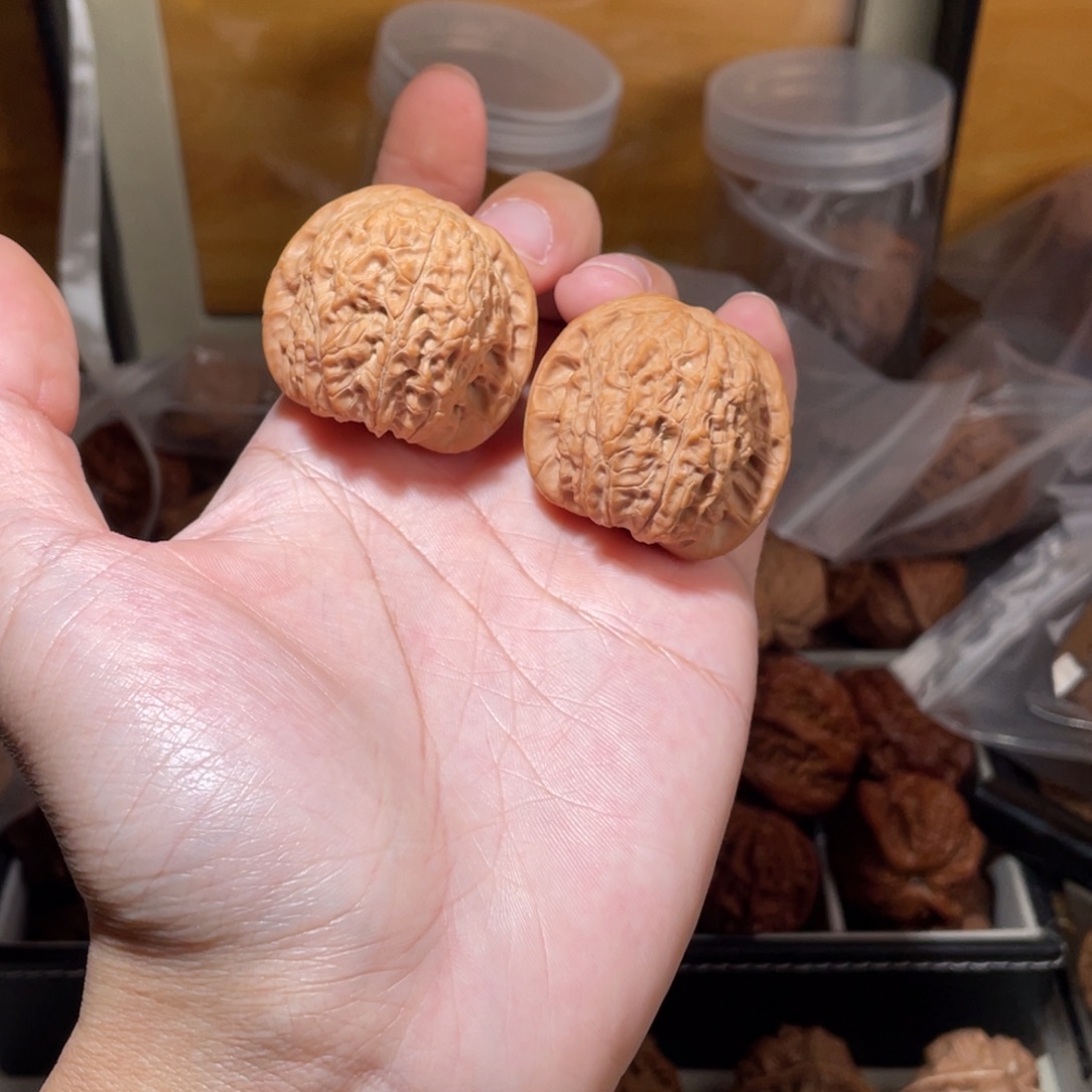 ****糊39尺寸全品无修血麒麟