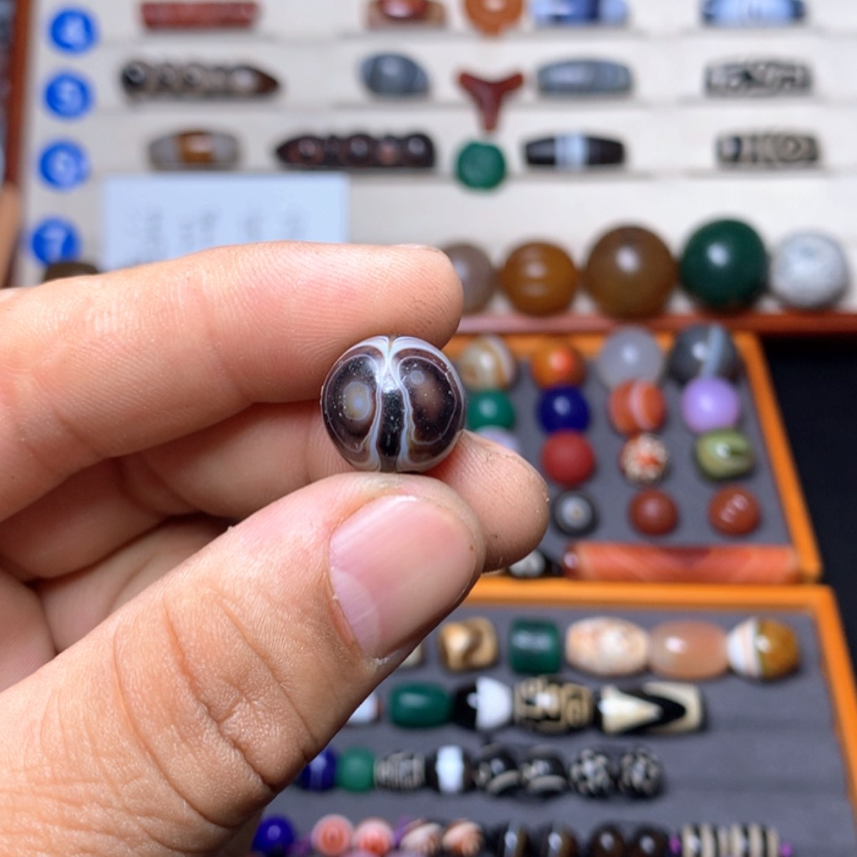 【闪购商品】玛瑙/玉髓珠宝奇石未镶嵌动**契