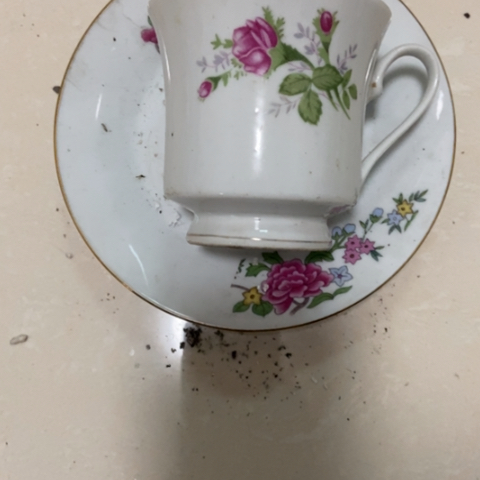 z c z c z c z c x x