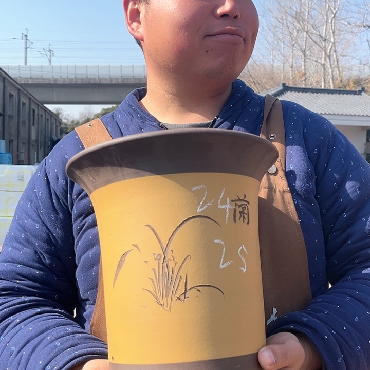 紫砂紫砂花盆盆栽