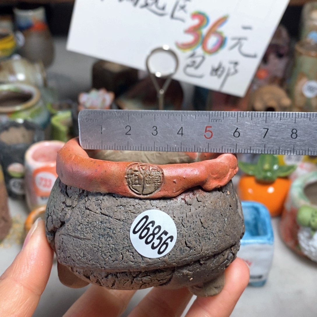 拍3送一个小礼物＇花盆