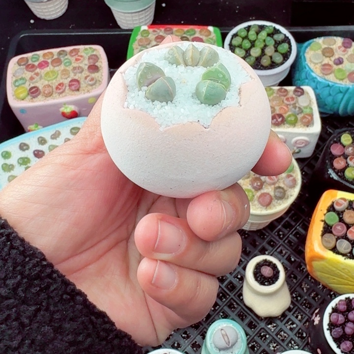 579零下地区记得拍保温箱满18包邮