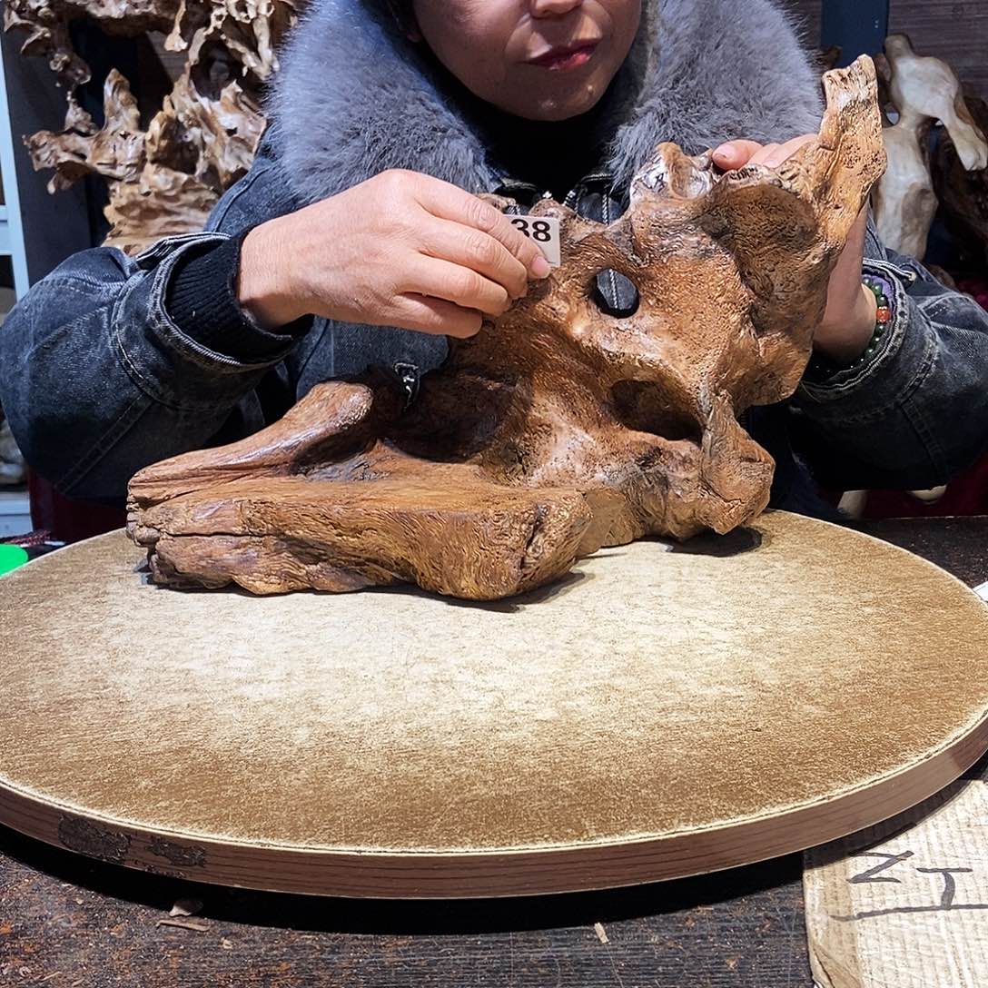 s***e738。株木随行根艺