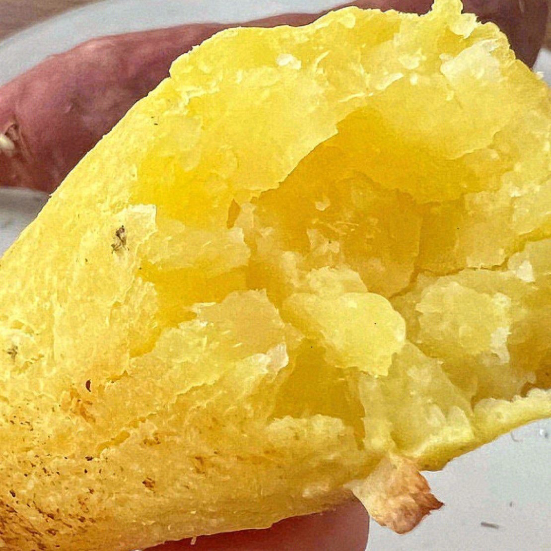 新疆超甜火山蜜薯一袋一斤3袋装蜜薯新疆维吾尔自治区