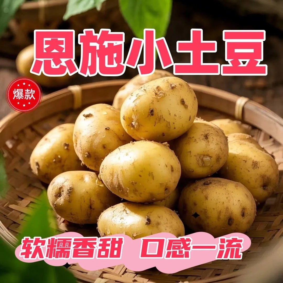 湖北家乡土特产新鲜恩施小土豆迷你现挖黄心土豆洋芋农家